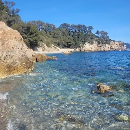 Joli 2 Pieces Renove A Proximite Des Plages Apartment *